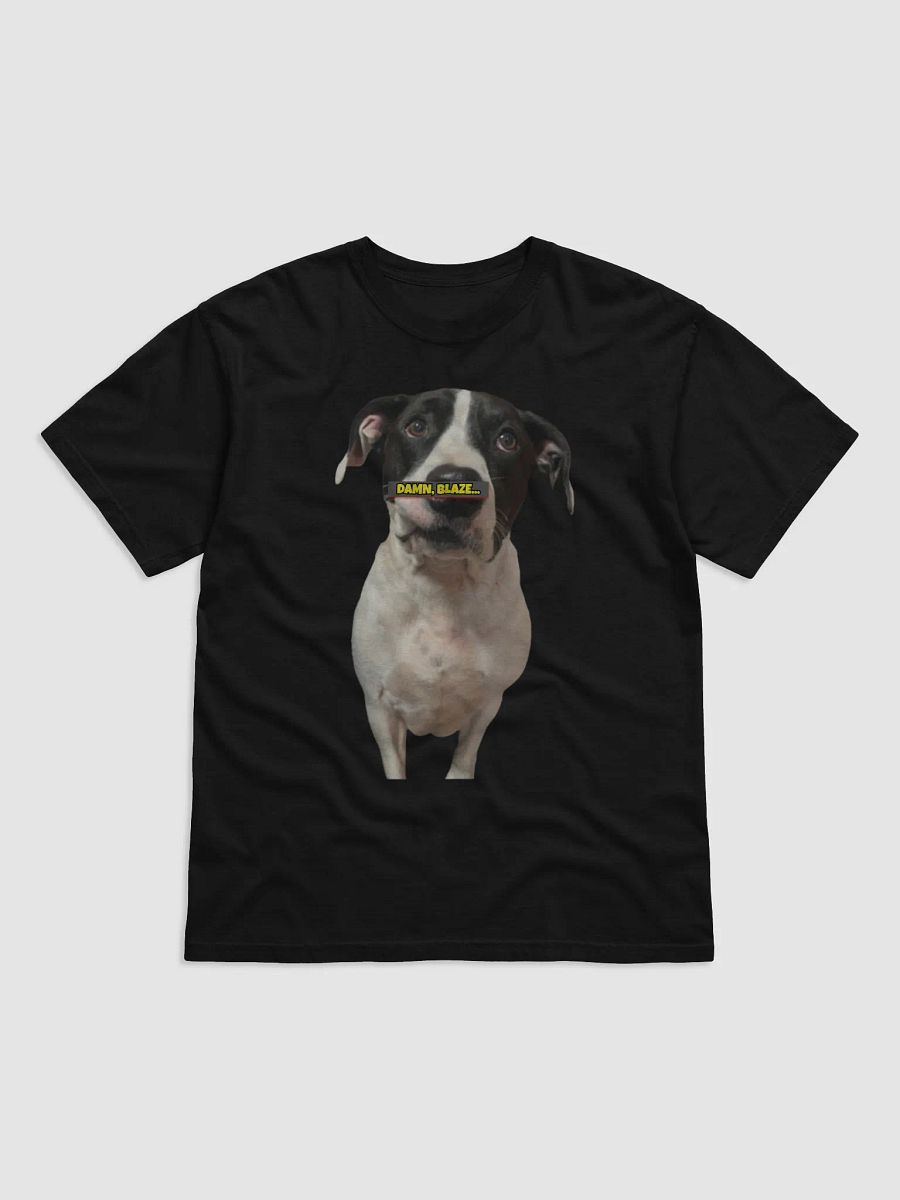 BLAZE A SWISHA Stylized T-Shirt product image (1)