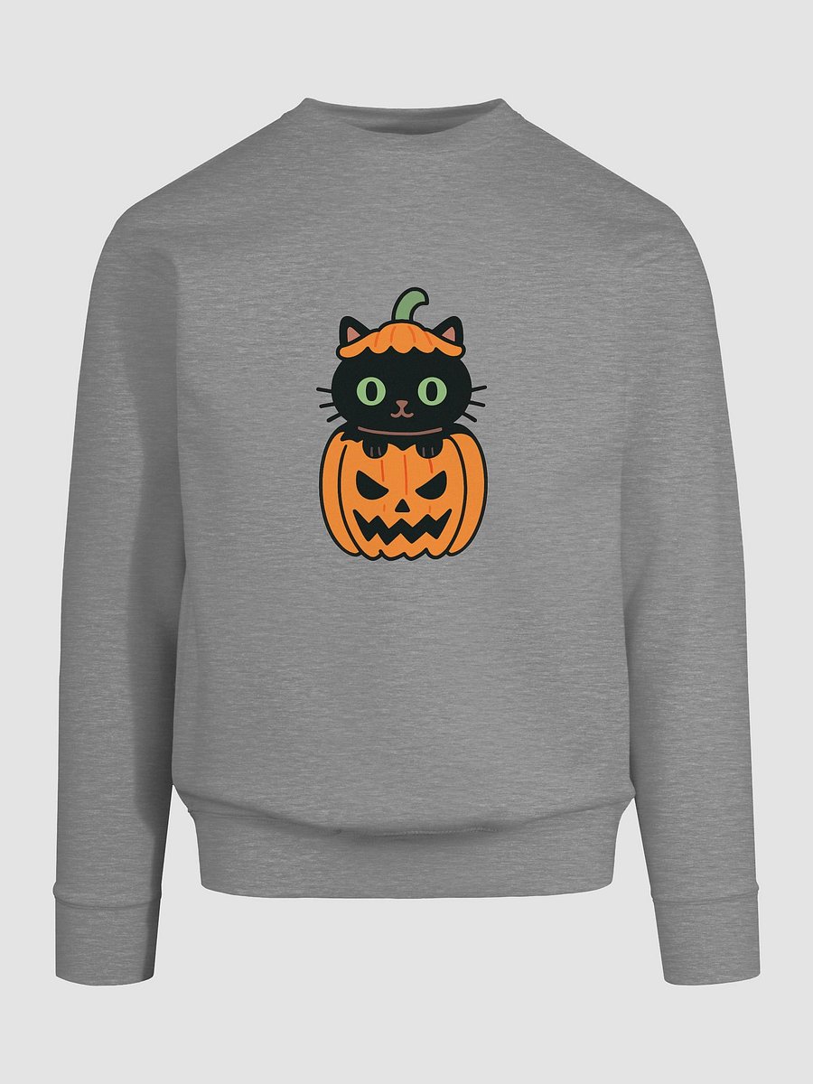 Whiskers & Lanterns Halloween Sweatshirt product image (35)