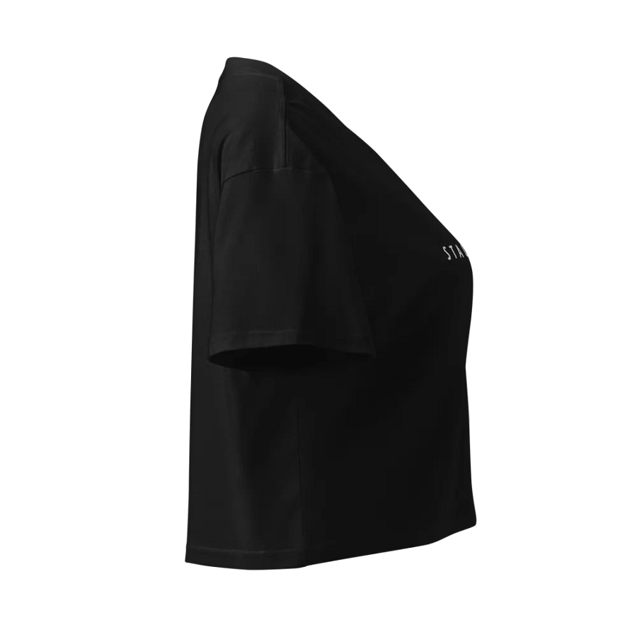 THE CLASSIC Embroidered Black Cropped Tee product image (4)