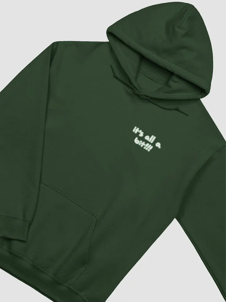 “It’s all a bit!!!” (sm. lined design, #CCE1C4) classic hoodie product image (31)