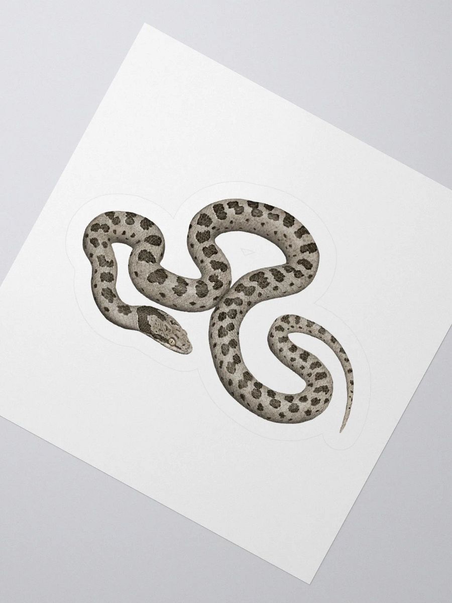 Die-Cut Sticker – Desert Nightsnake product image (2)