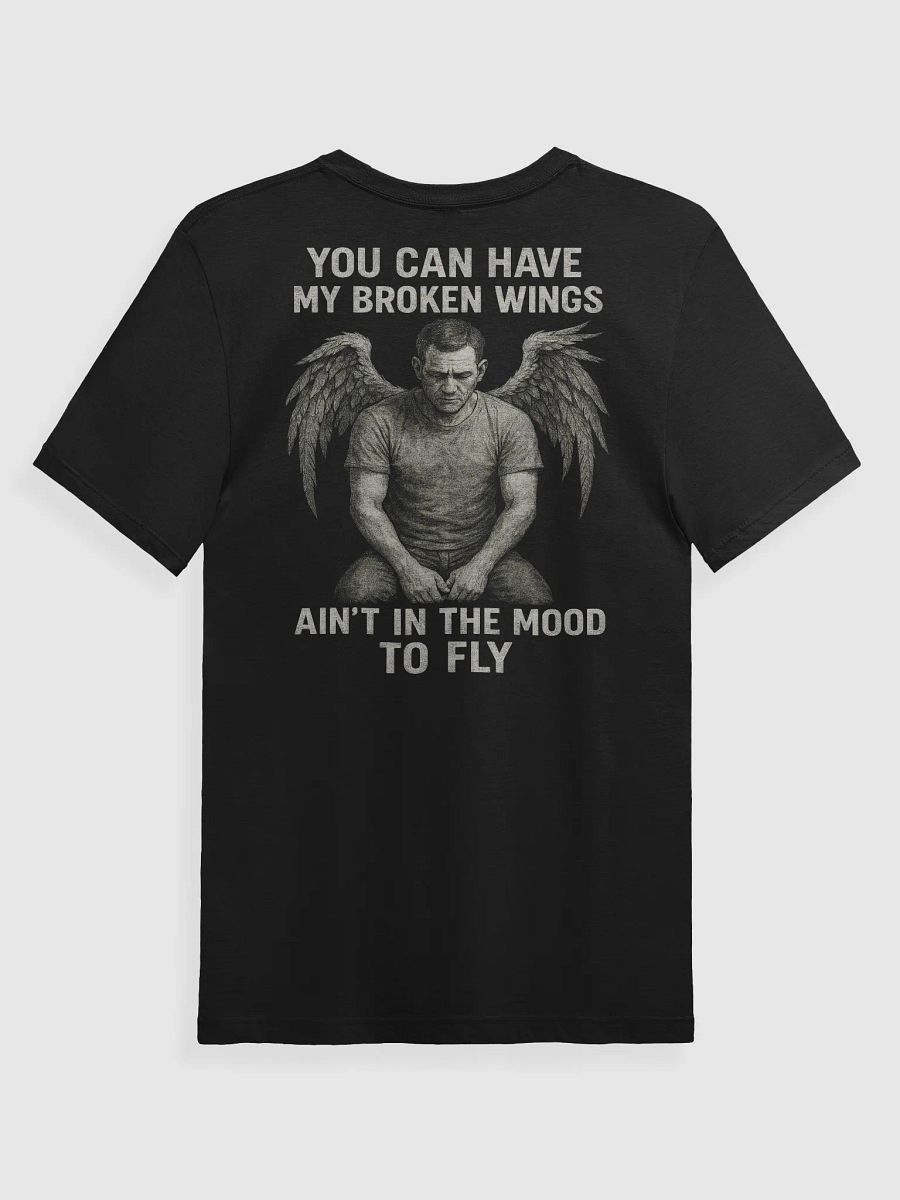 Ain't In The Mood To Fly product image (2)