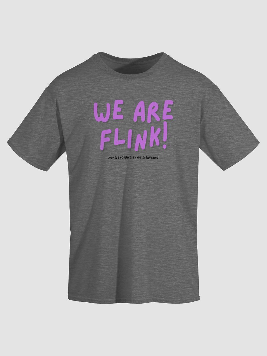 we are flink product image (18)