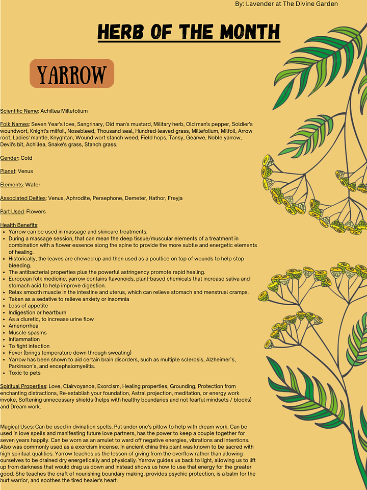 Yarrow product image (1)