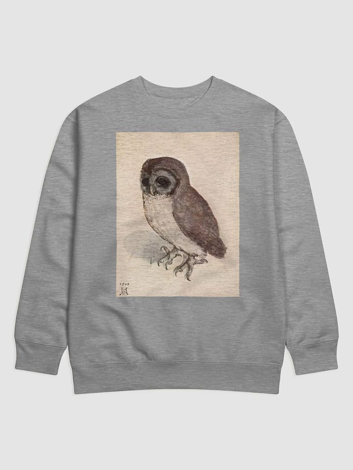 Albrecht Durer The Little Owl Sweatshirt product image (3)