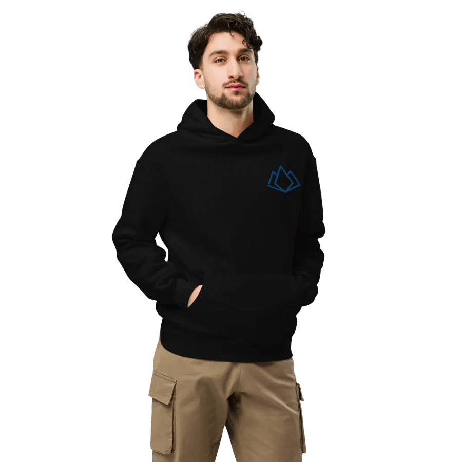 Cozy Comfort Hoodie - Embroidered product image (7)