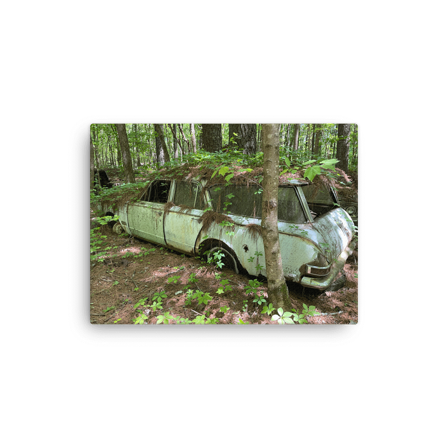 Corvair in the Pines – Nature Takes the Wheel product image (1)