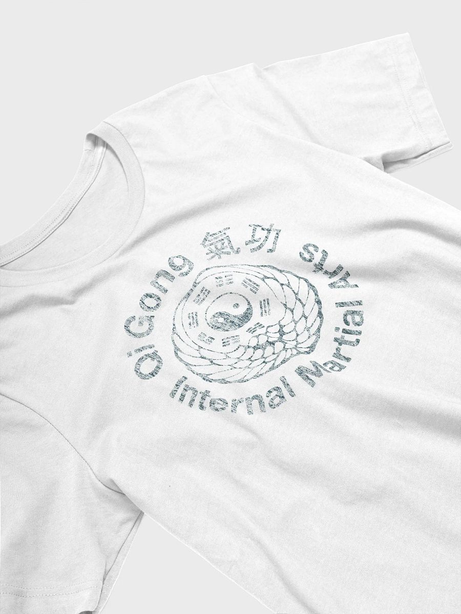 QiGong Internal Martial Arts product image (3)