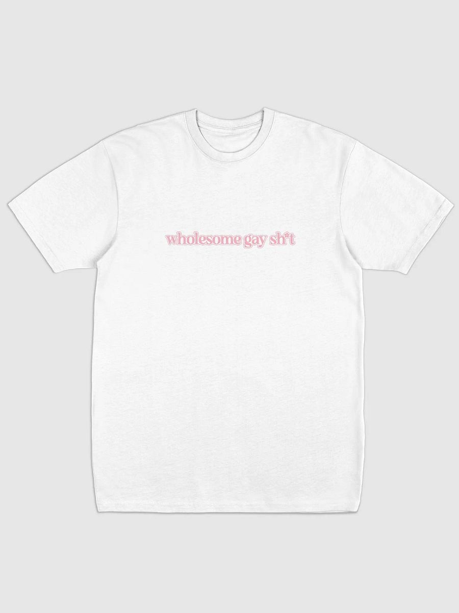 Wholesome Gay T product image (1)