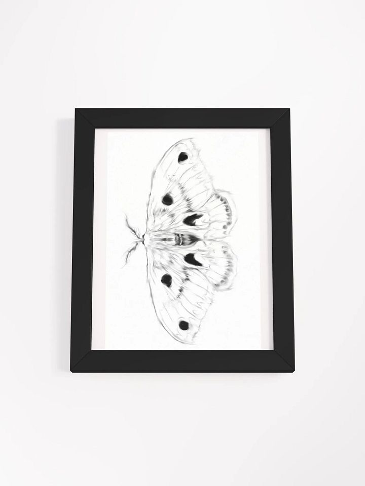Cecropia Moth Print product image (3)