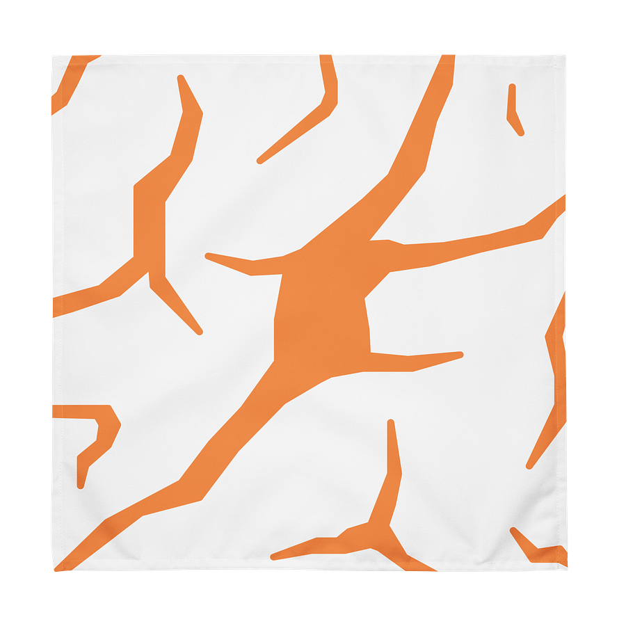 Cracked Orange Cloth Napkin Set product image (1)