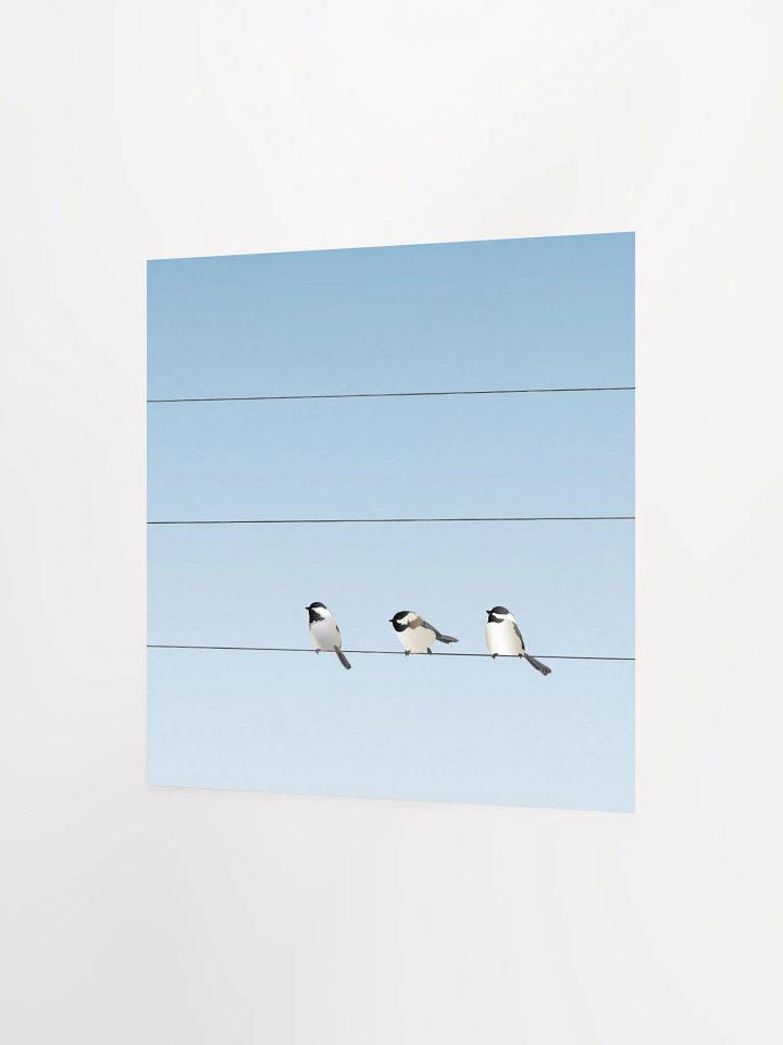 Three Birds on a Wire product image (2)