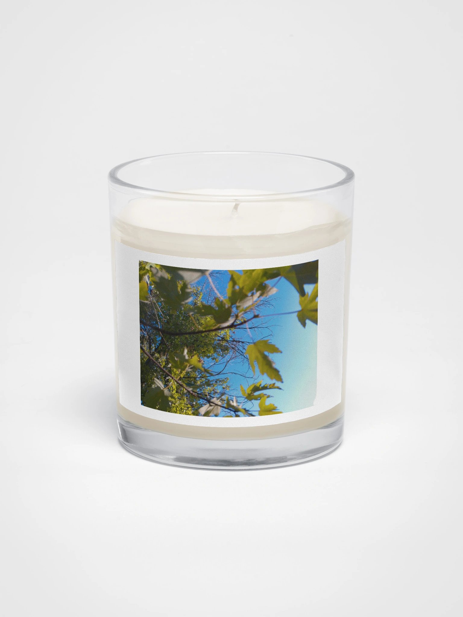 the sky product image (1)