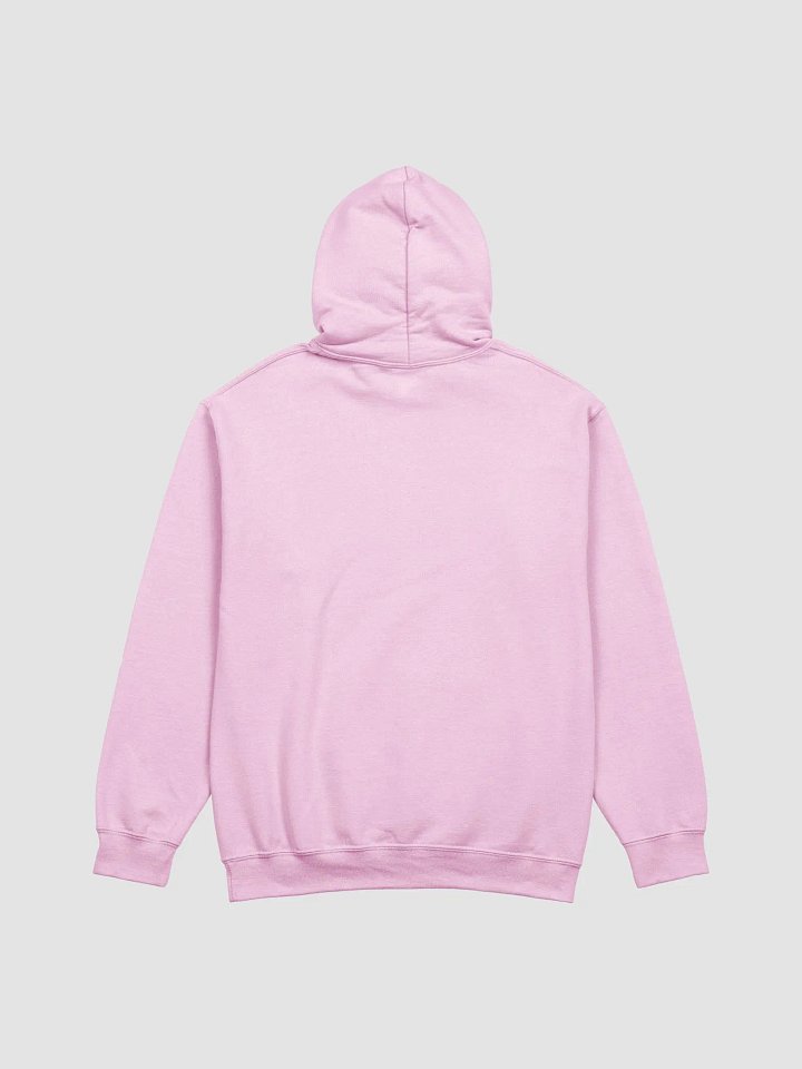 HYPE HOODIE product image (2)