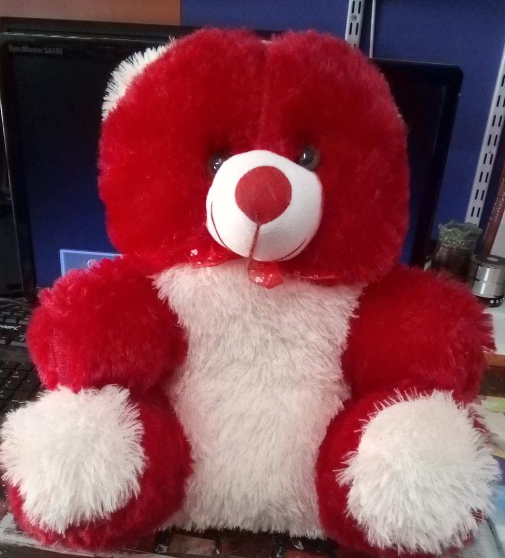 TEDDY BEAR product image (1)