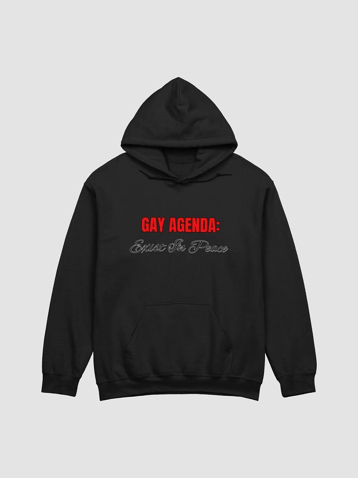 The Agenda Hoodie product image (6)