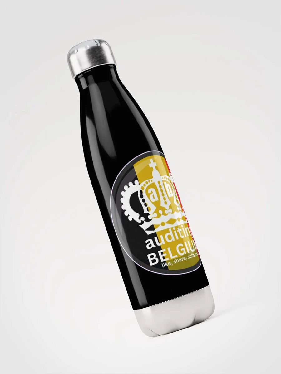 AUDITING BELGIUM product image (5)