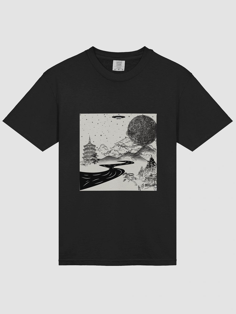 Hidden in plain sight product image (10)