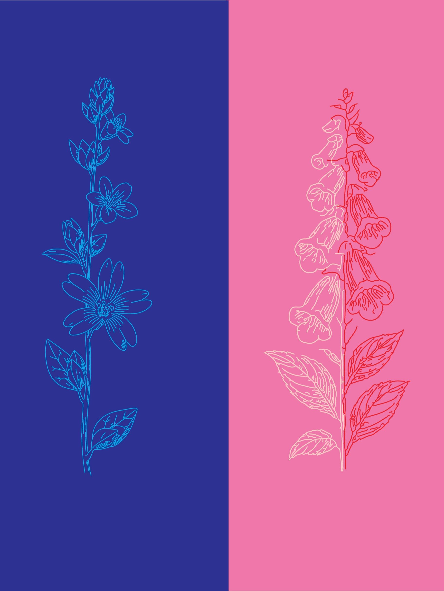 Creativity Pack for Artist Designers Teachers product image (6)