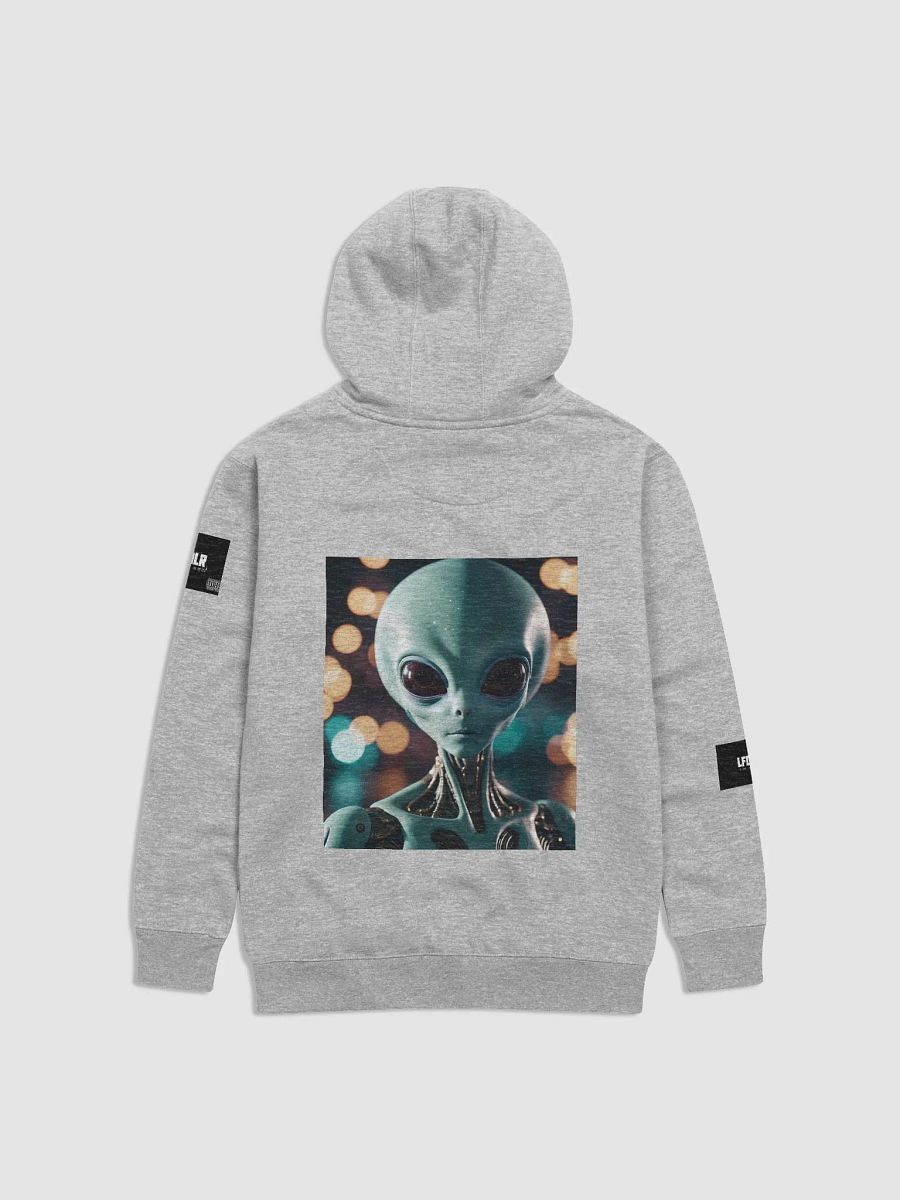 hooded coat LFDLR product image (24)