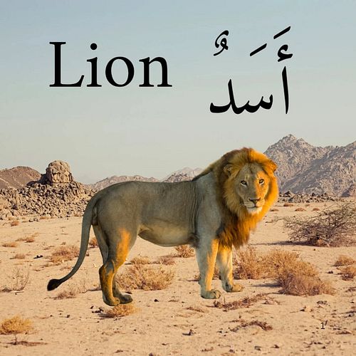 Names of Animals