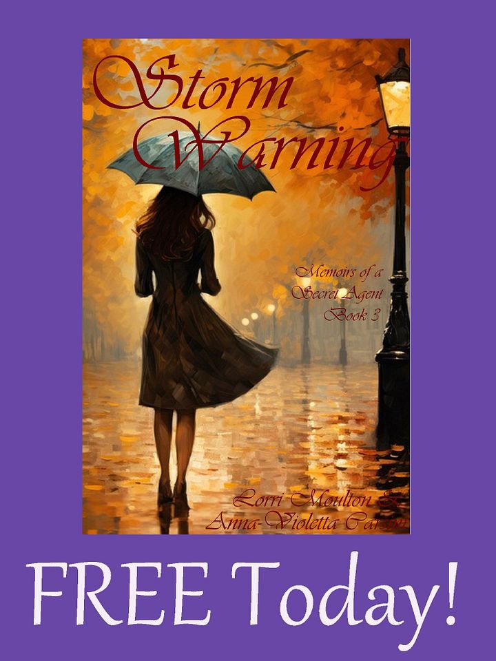 Storm Warning EBOOK - FREE Today! product image (1)