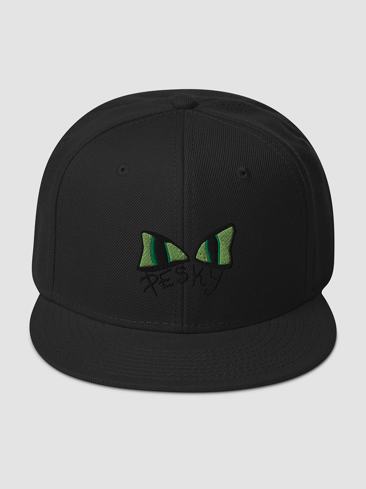[TEAMEMBERS] Snapback - Otto Cap 125-978 product image (1)