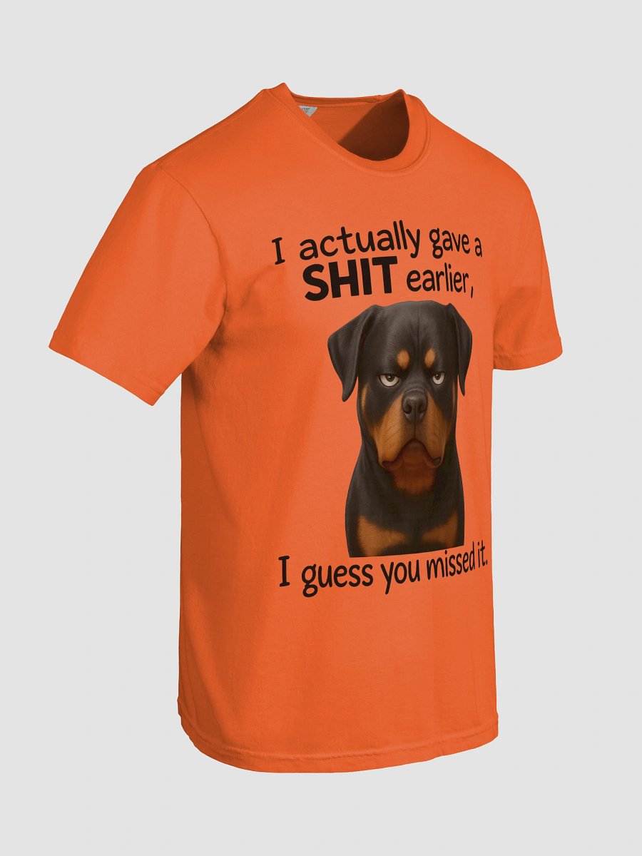 I Actually Gave a Shit Earlier, I Guess You Missed It product image (67)