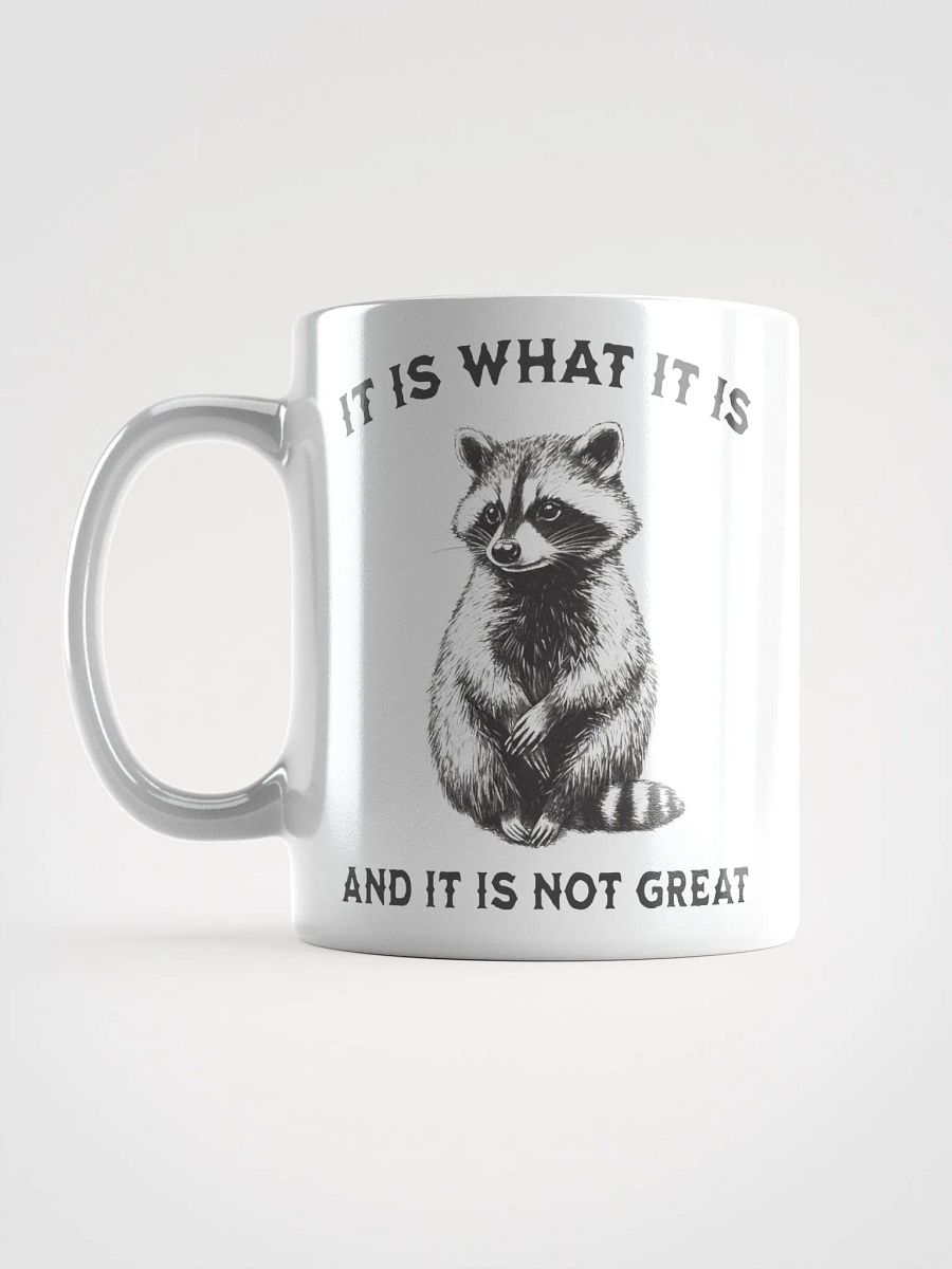Raccoon It Is What It Is Mug product image (1)