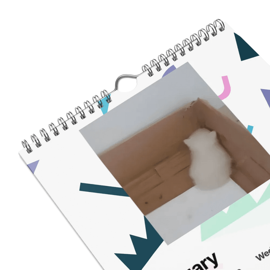 Wall Calendar (2024): Meme Cats product image (9)