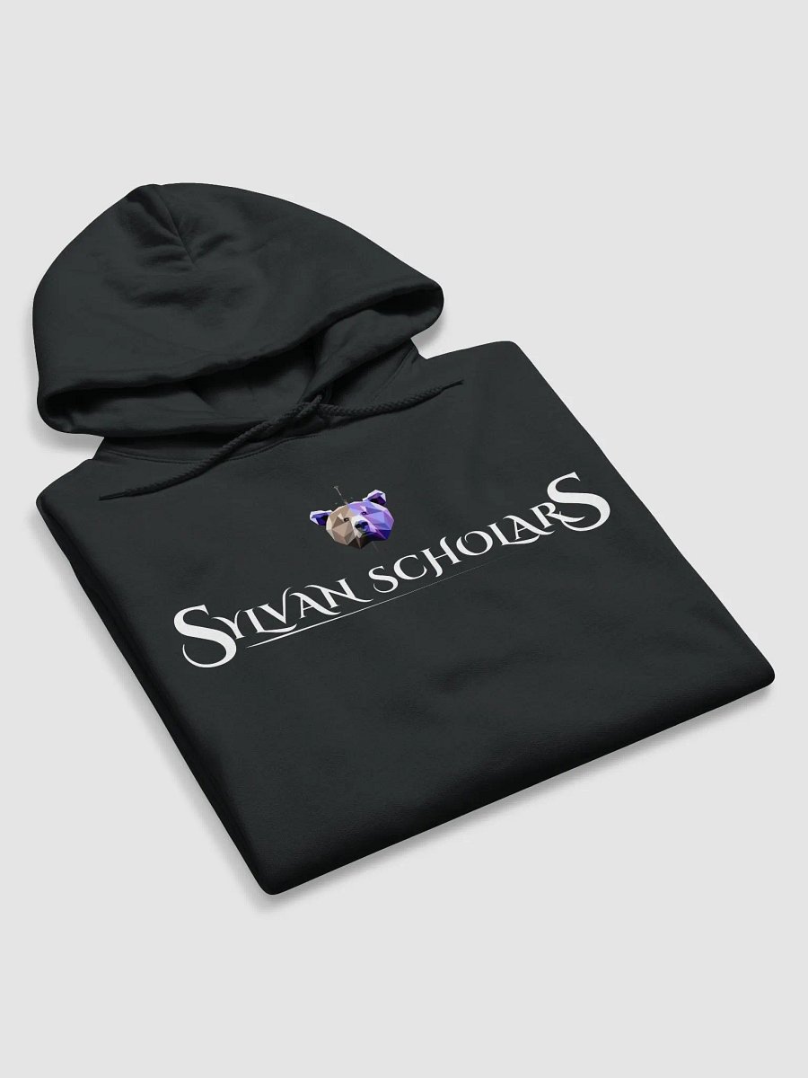 SylvanScholar Hoodie Regular product image (5)