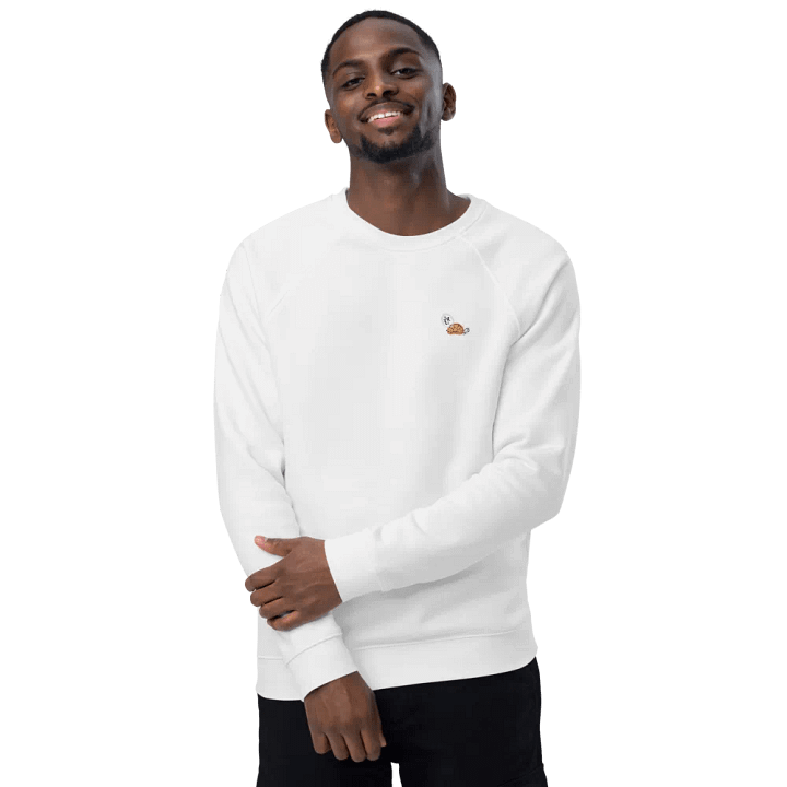 TURTLE product image (2)