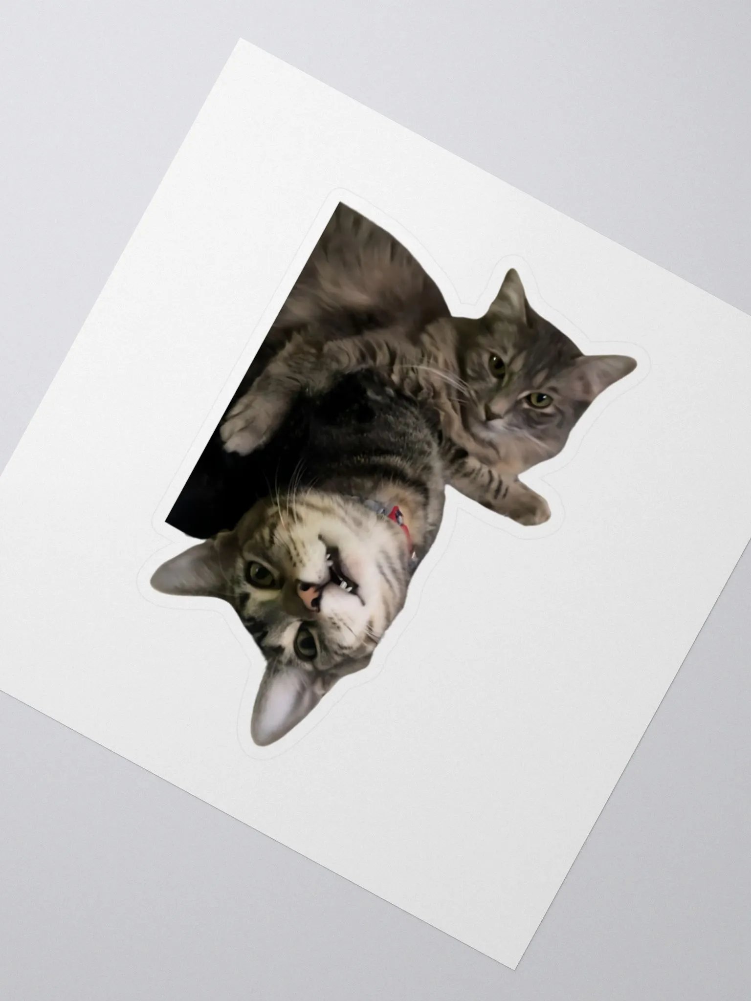 xDarknTwistyx Sticker ft. Meredith & Rocky product image (2)