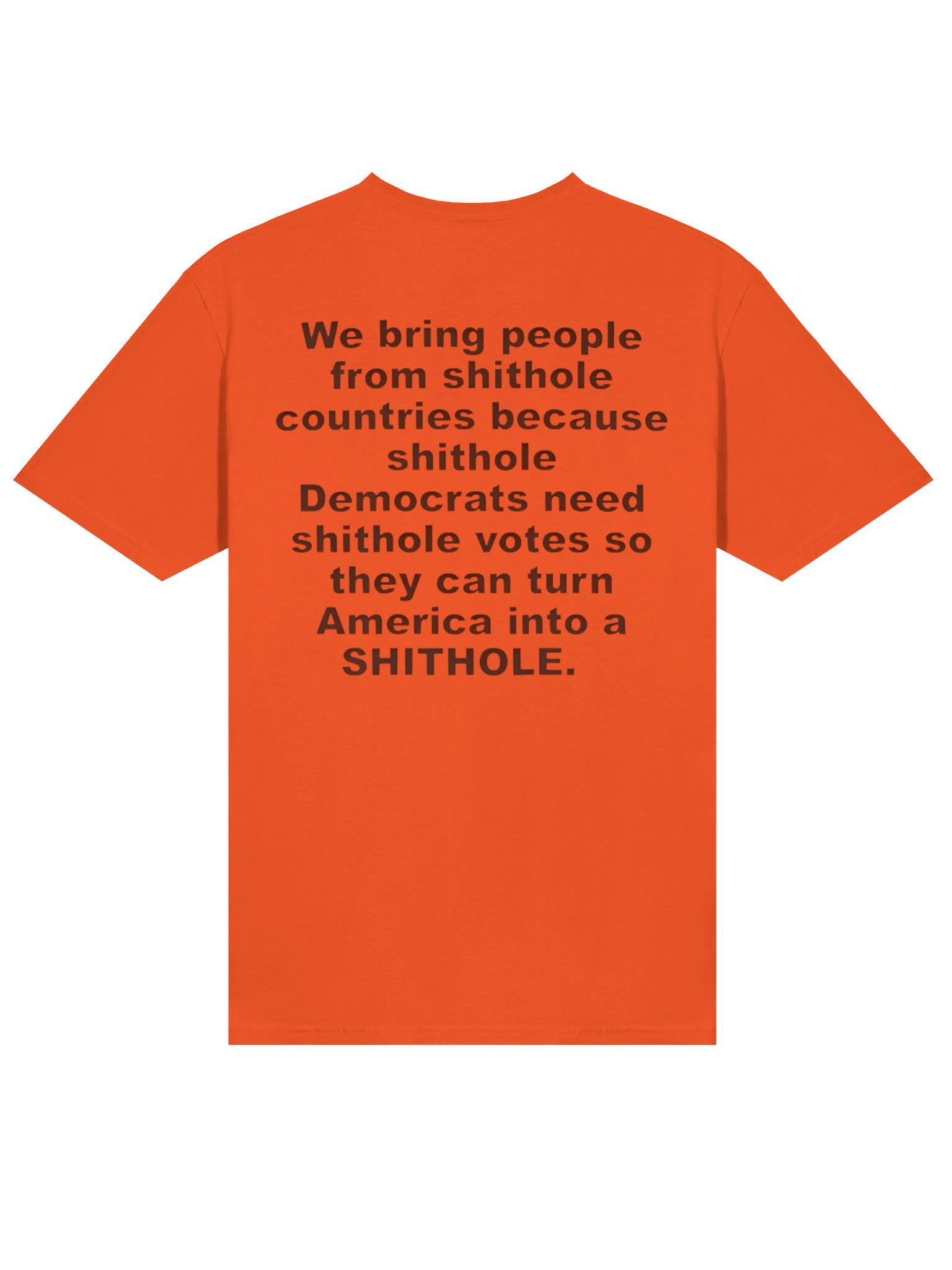 We Bring People From Shithole Countries Anti-Democrat Graphic Shirt product image (3)