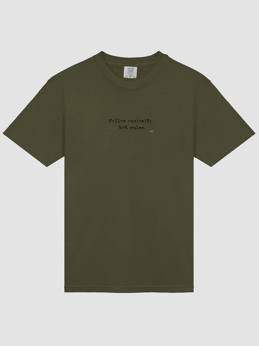 Cat Wisdom Comfort Tee product image (34)