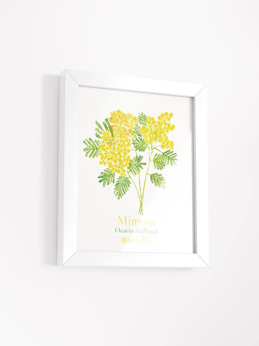 Mimosa Botanicus Frame product image (6)