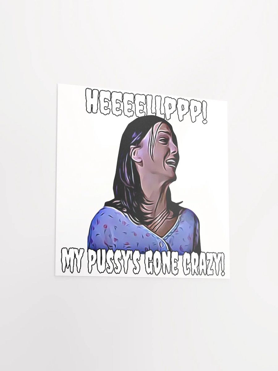 Help! my pussy's gone crazy! Enhanced Matte Paper Poster product image (3)