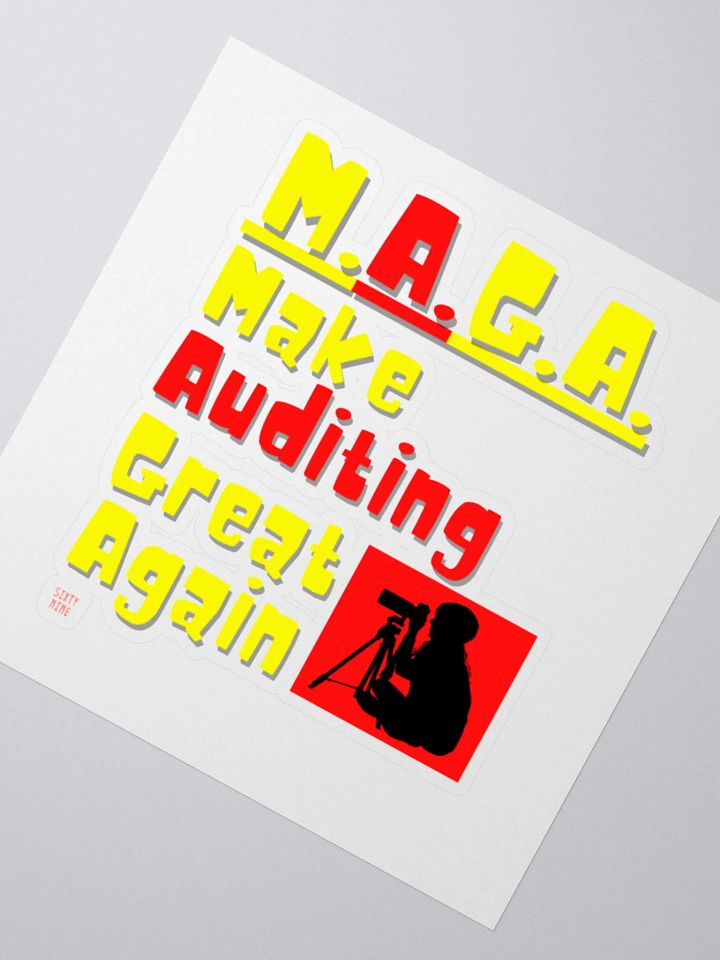 MAKE AUDITING GREAT AGAIN product image (4)