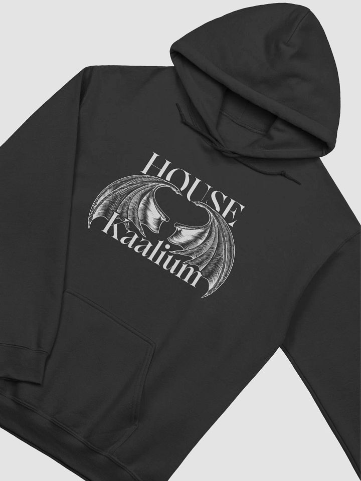House Kaalium Classic Hoodie product image (12)