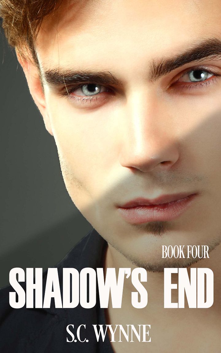 Shadow's End: Psychic Detective Mysteries Book 4 product image (1)