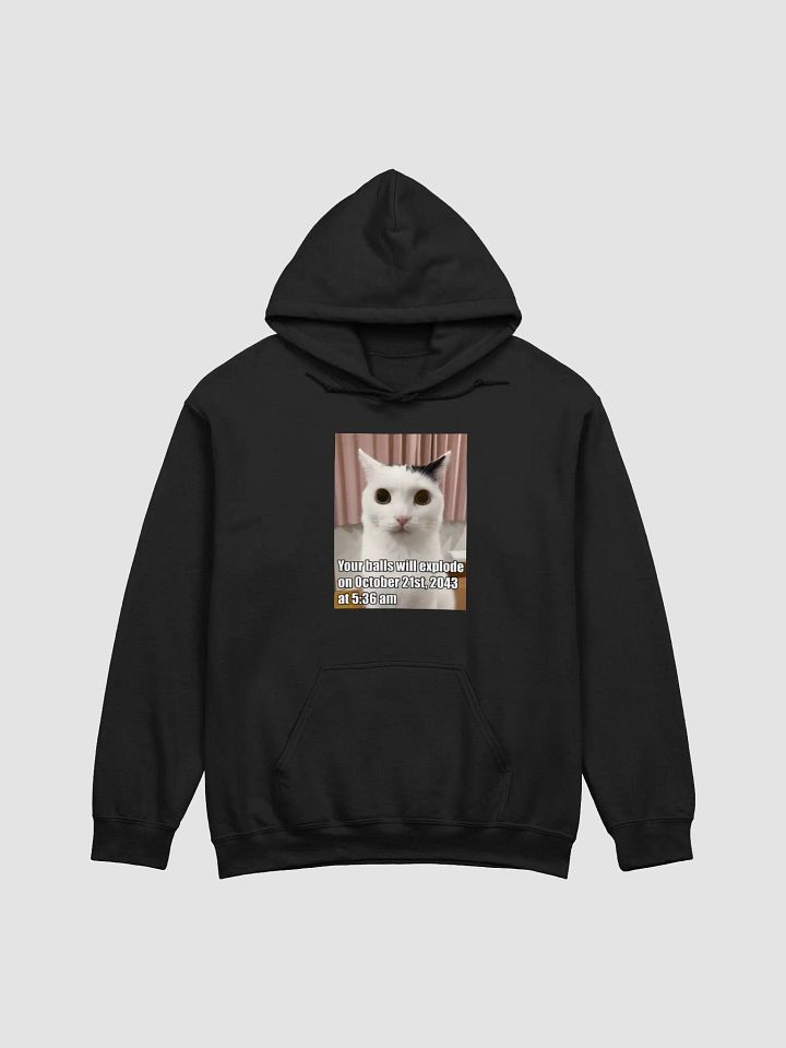 Your Balls Will Explode On October 21st 2043 At 5:36am Hoodie product image (1)