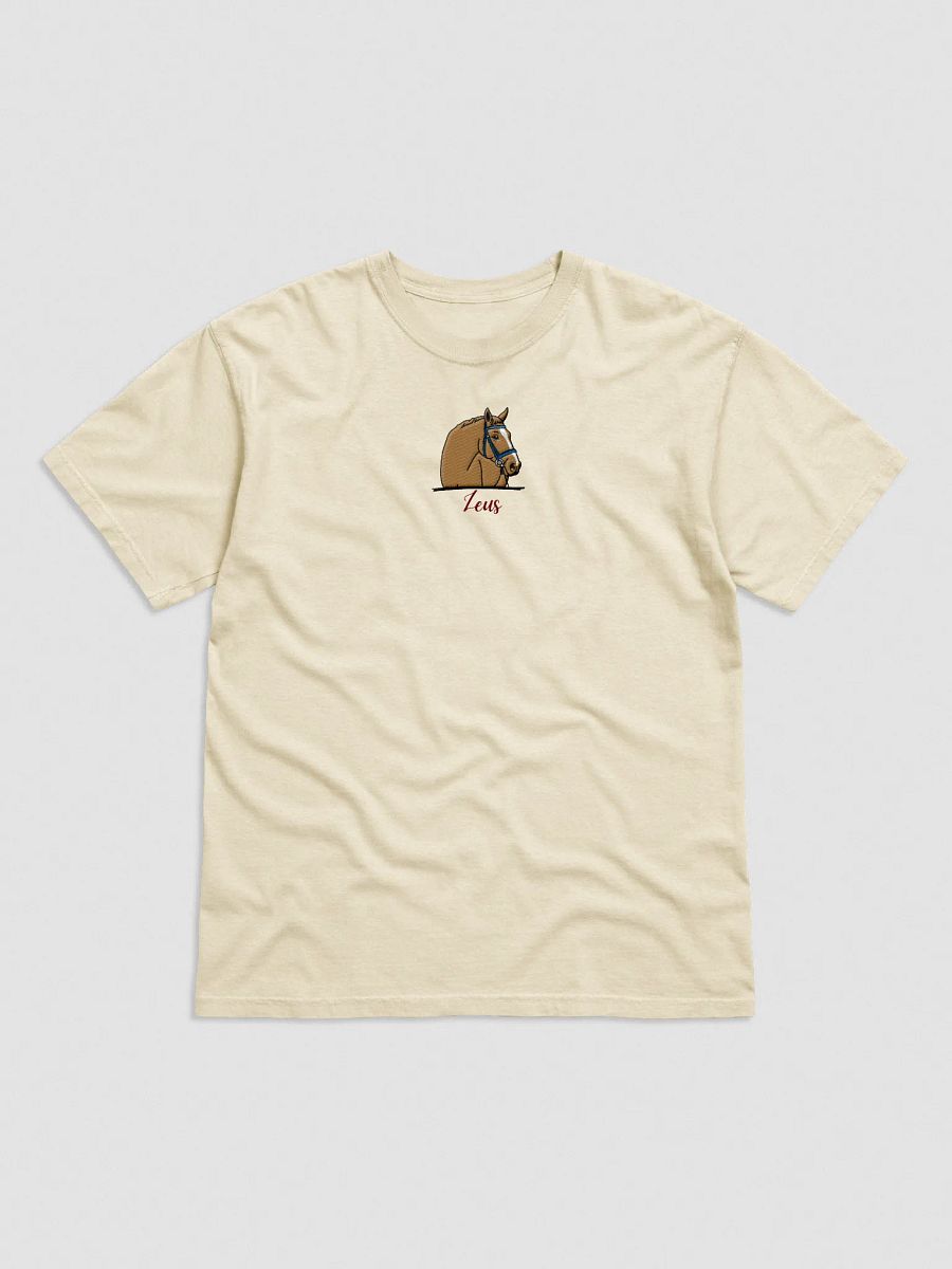 YOUR HORSE! / T-SHIRT WITH PERSONALIZED NAME / EMBROIDERED product image (3)
