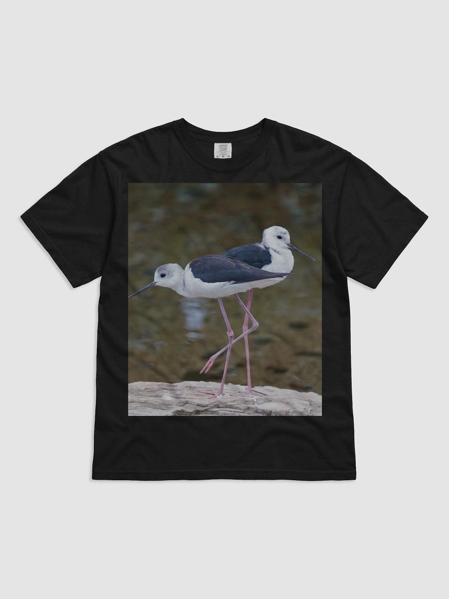 Graceful Avian Duo T-Shirt product image (1)