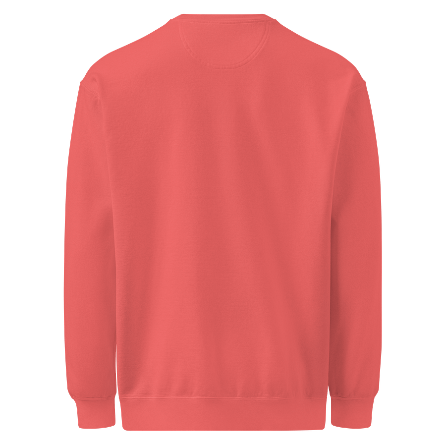 "TBR" Sweatshirt product image (11)
