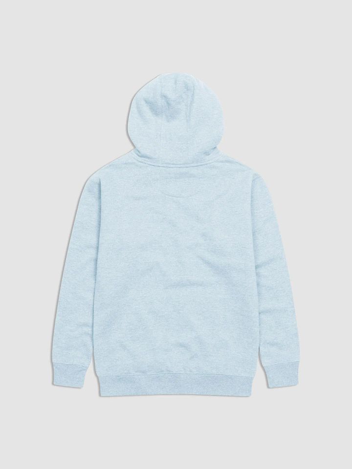 Bees in Your Socks Hoodie product image (20)