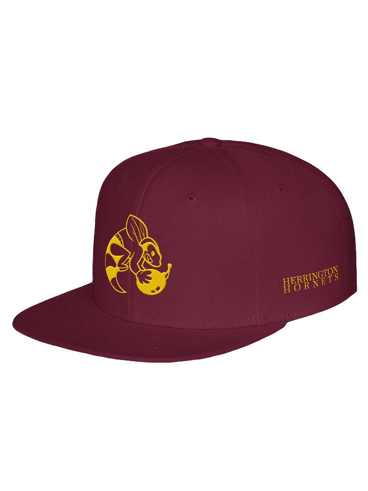 Herrington Hornets - The Faculty product image (9)