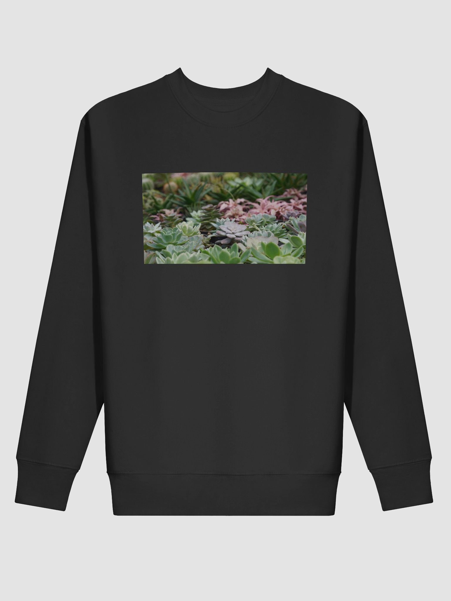 Succulent Serenity Premium Sweatshirt product image (2)