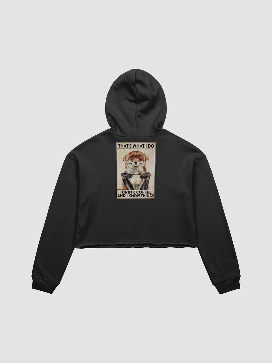 Fox Hoodie product image (5)