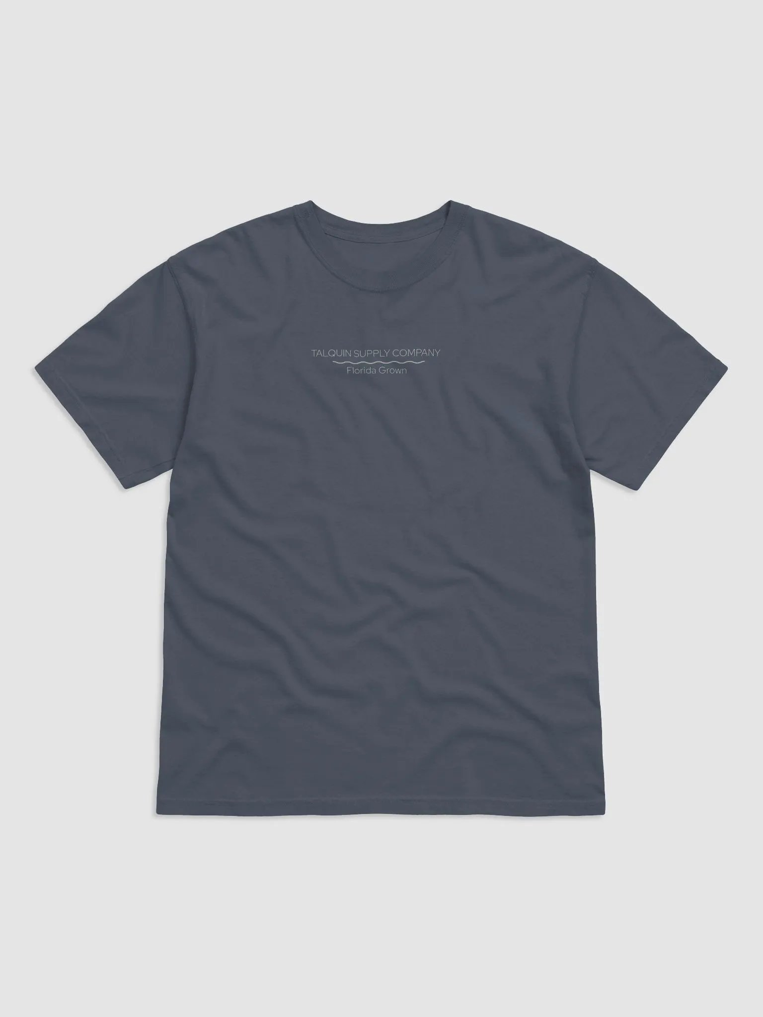 Landing Zone Comfort Colors Tee product image (2)