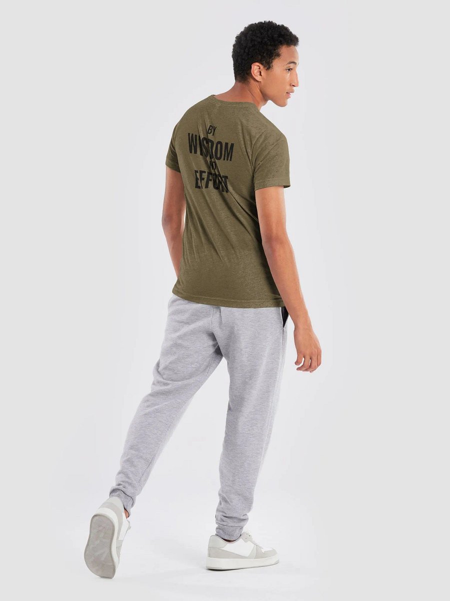 Tri-Blend T-Shirt product image (50)